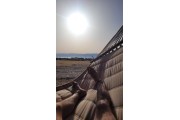 small thumb